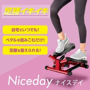 健康ステッパー ナイスデイ